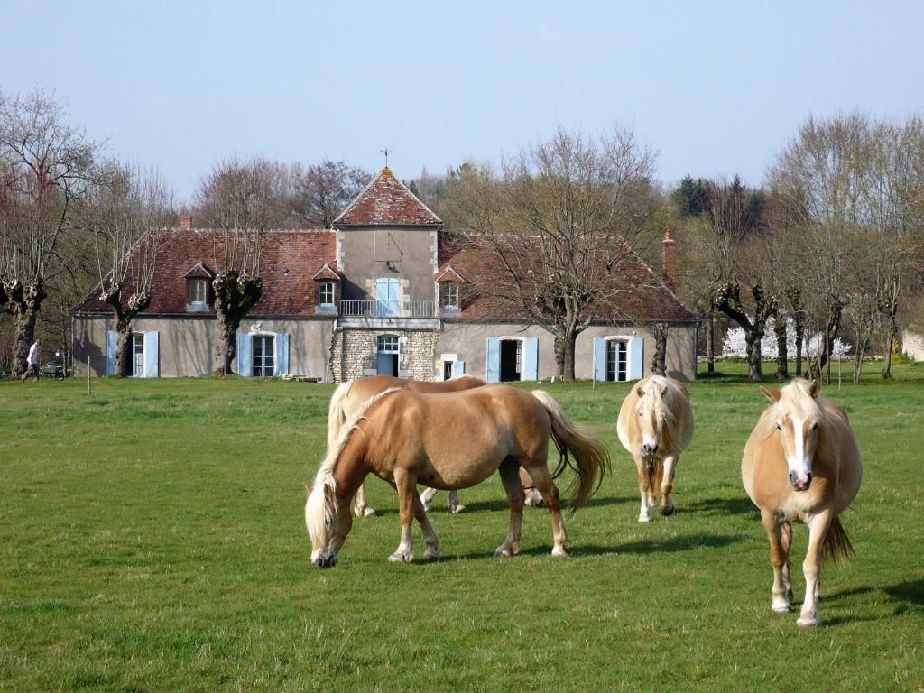La Cuvellerie Hotel Narcy Luaran gambar